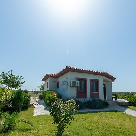 Karina Vineyard House Guest House Bozcaada Luaran gambar